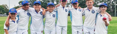 Engadine Dragons Cricket Club